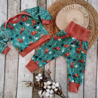 2 tlg Set Langarm Shirt und Pumphose gr 62