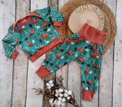 2 tlg Set Langarm Shirt und Pumphose gr 62