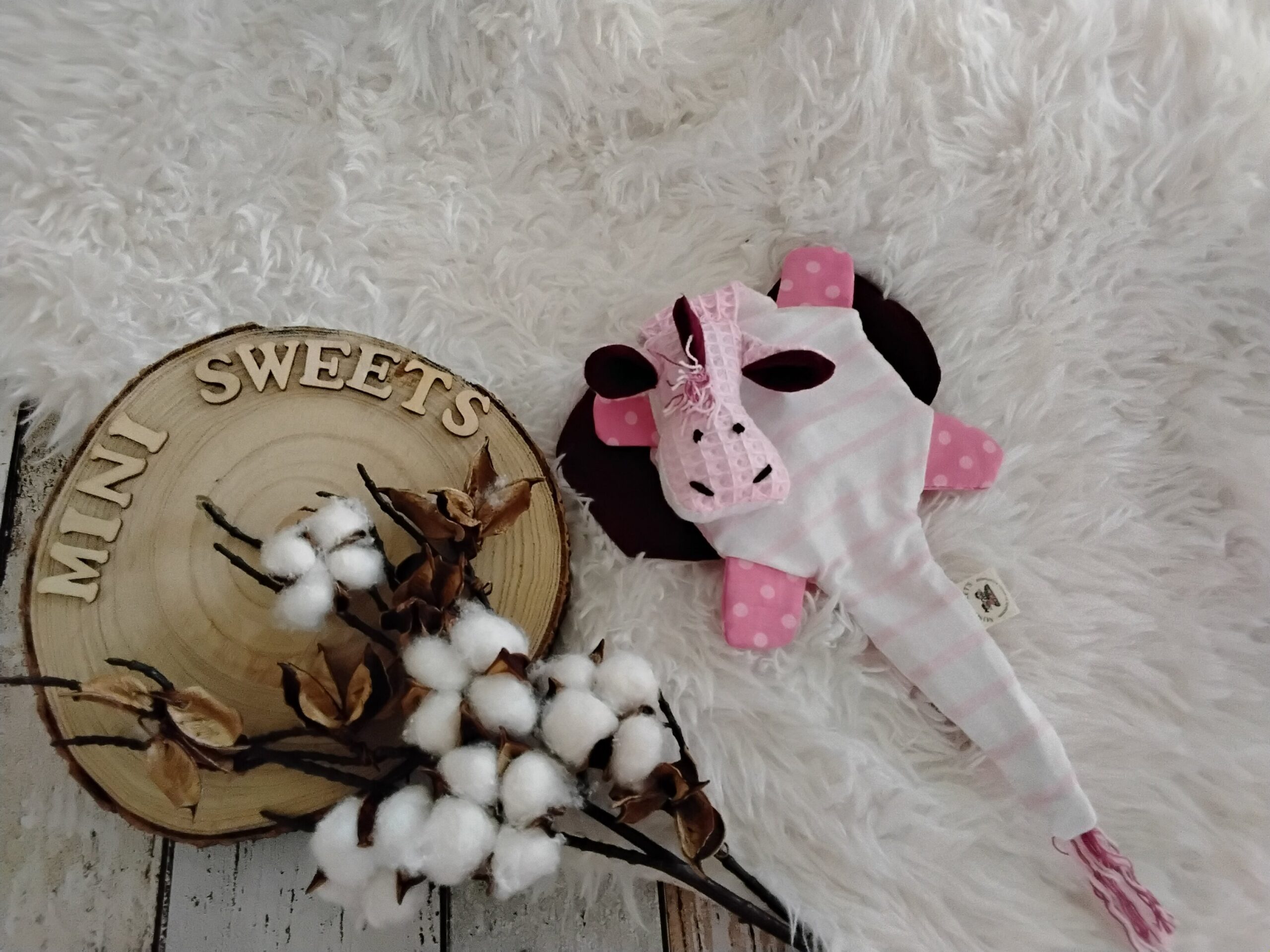 Knisterdrachen – Bild 2